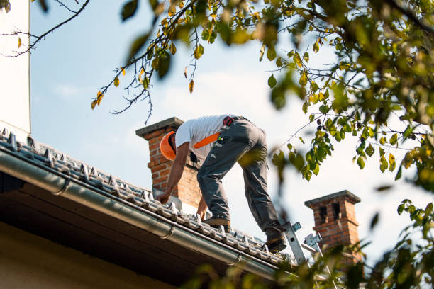 Best Roof Repair Services  in Mustang Ridge, TX